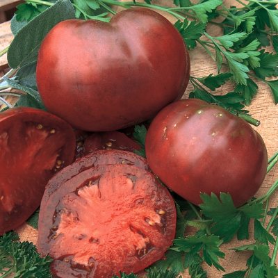 Organic Heirloom Cherokee Purple Tomato Plants - 3 pk.