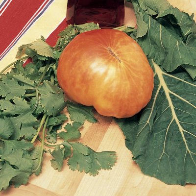 Organic Heirloom Old German Tomato Plants - 3 pk.