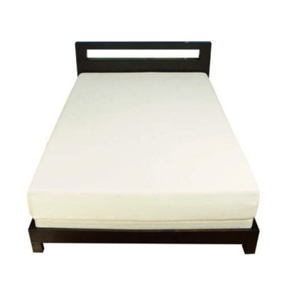 Aerus Natural Premium 5.0 lb. 2.5" Memory Foam