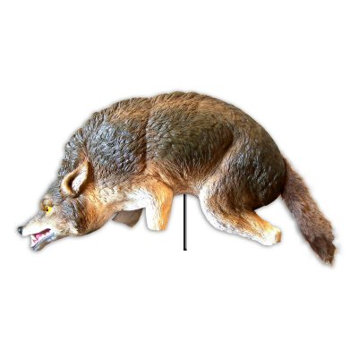 3-D Coyote Replica