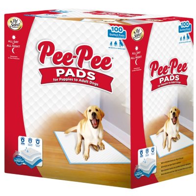 UPC 706532916405 product image for Pet Select Pee-Pee Training Pads, 22