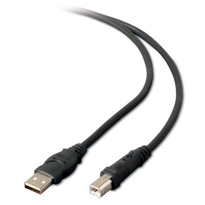 Belkin® Pro Series Hi-Speed USB 2.0 Cable - 6'