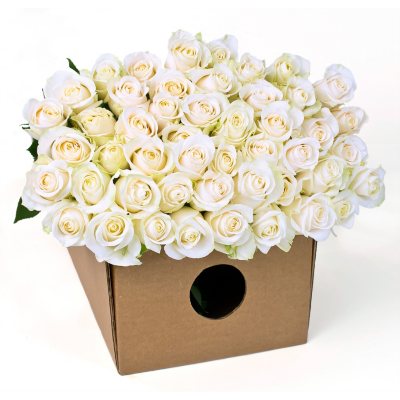 Roses - White - 125 Stems 