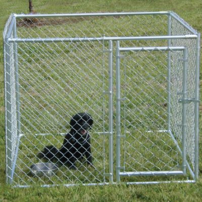 Lucky Dog Chain Link Kennel
