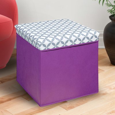 Bintopia Collapsible Storage Ottoman