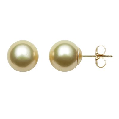 9.0-10.0mm Golden South Sea Pearl Studs in 14K Yellow Gold