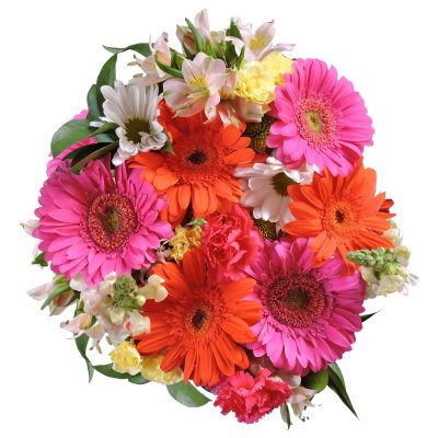 Dazzling Daisies Mixed Bouquet  - 5 pk.
