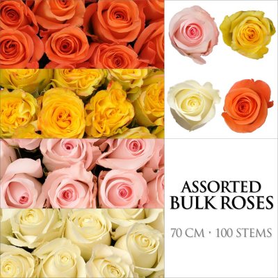 Roses - Assorted Colors - 100 Stems