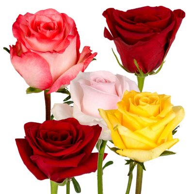 Roses - Assorted - 125 Stems