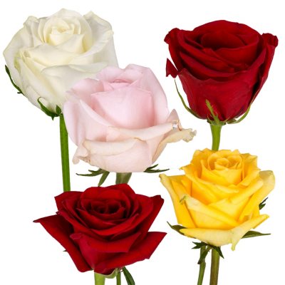 Roses - Red and Assorted Colors - 125 Stems