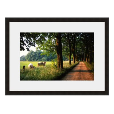 Baroque Frame and Mat  - Various Sizes