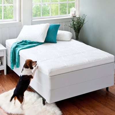 4" Pressure Relief Memory Foam Topper - Full