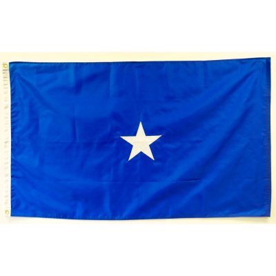 Air Force 1 Star General 3' x 5' Nylon Outdoor Flag