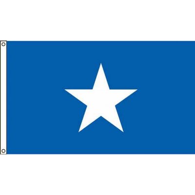 Bonnie Blue 3'X5' Nylon Flag