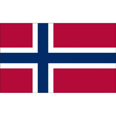 Norway 3'X5' Nylon Flag
