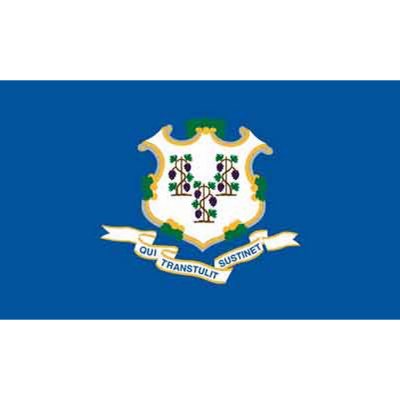 Connecticut 3' x 5' Nylon Flag