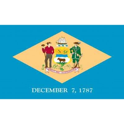 Delaware 3' x 5' Nylon Flag