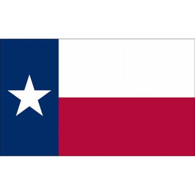 Texas 4' x 6' Rip Guard Flag