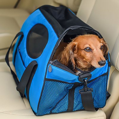 UPC 854907004582 product image for CARRY-MEPETCARRIER L TRAILBLAZER BLUE | upcitemdb.com