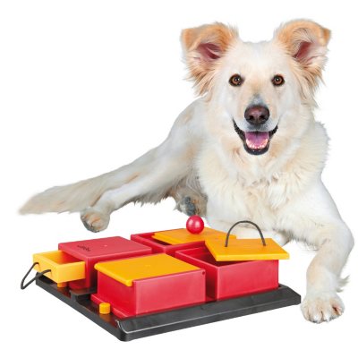 Trixie Poker Box Activity for Dogs, Intermediate (12