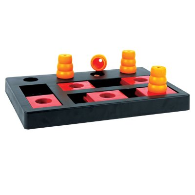 Chess Game for Dogs