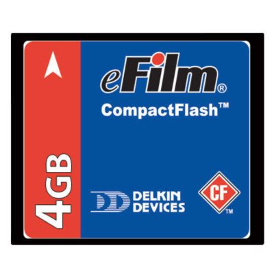 Delkin CompactFlash Memory Card - 4GB