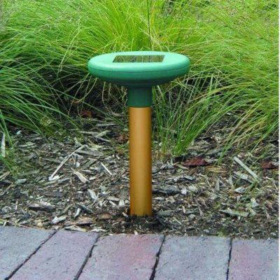 Solar Powered Mole & Gopher Chaser