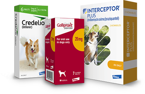 Pet Club, Discounted Pet Meds, Food & Supplies