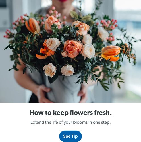 Learn how to extend the life of your flowers with Clorox bleach. Get tip.