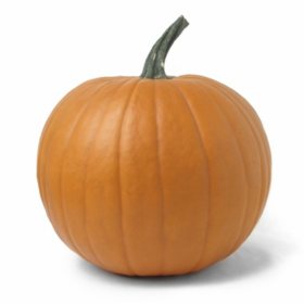 Pumpkin, 1 ct.