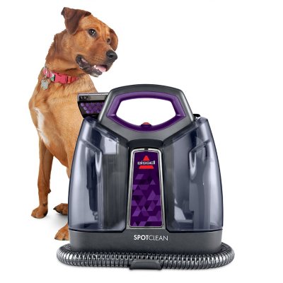 BISSELL Little Green HydroSteam Pet Corded Portable Deep Cleaner Titanium  with Copper Harbor accents 3605 - Best Buy