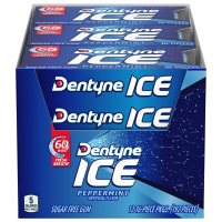 Dentyne Ice Peppermint Sugar Free Gum (12 pk.)