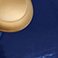 Classic Blue / Gold Knob, variant on Tramontina Enameled Cast Iron 7-Quart Covered Round Dutch Oven