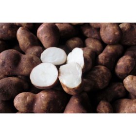 Hill Brothers Russet Potatoes/Papas 50 lbs.