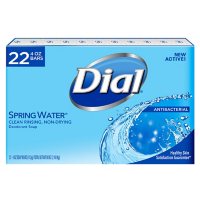 Dial Antibacterial Deodorant Soap, Spring Water (4.0 oz., 22 ct.)
