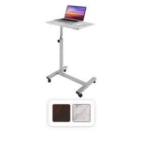 Stand up desk sam's club discount