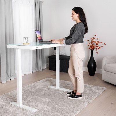 Stand up desk sam's shop club