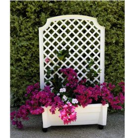 Calypso Self-Watering Planter with Trellis and Wheels, Various Colors