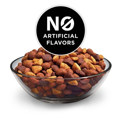 dog chow complete adult with real beef dry dog food