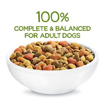 sam's club beneful dog food