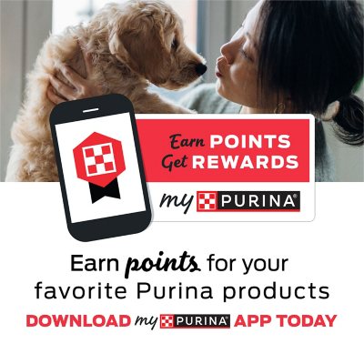 52 lb purina dog chow best sale