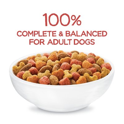 Purina Beneful Original With Natural Salmon Skin and Coat Dry Dog Food Sam s Club