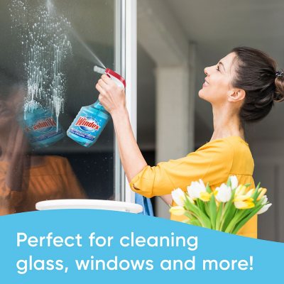 Windex Glass & Multi Surface Cleaner 946 mL Spray 5L Refill Bottle