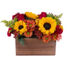 Member's Mark Thanksgiving Centerpiece Bouquet (variety and colors may vary)