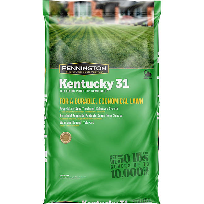 Pennington Kentucky 31 Tall Fescue Grass Seed 50 lbs.