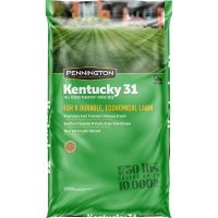 Pennington? Kentucky 31 Tall Fescue Grass Seed - 50 lbs