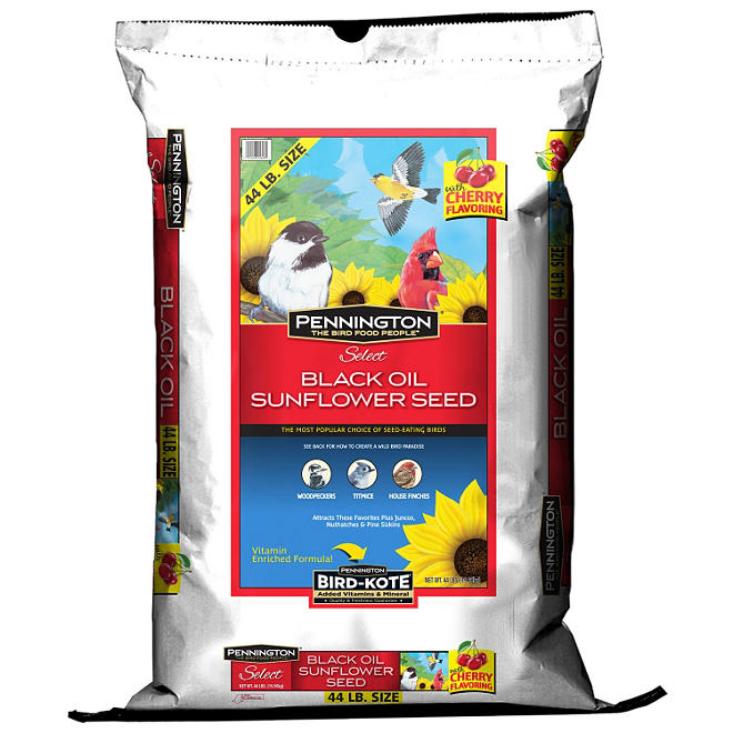 Pennington Select Black Oil Sunflower Seed Wild Bird Feed (44 lbs.)