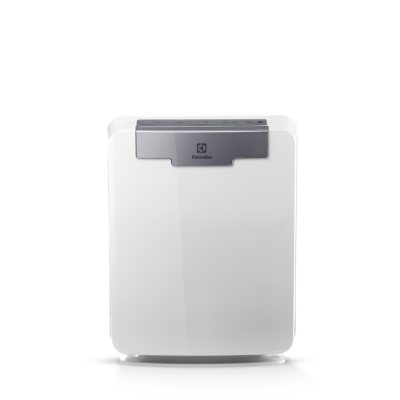 Electrolux PureOxygen Allergy 300 Air Purifier - Sam's Club