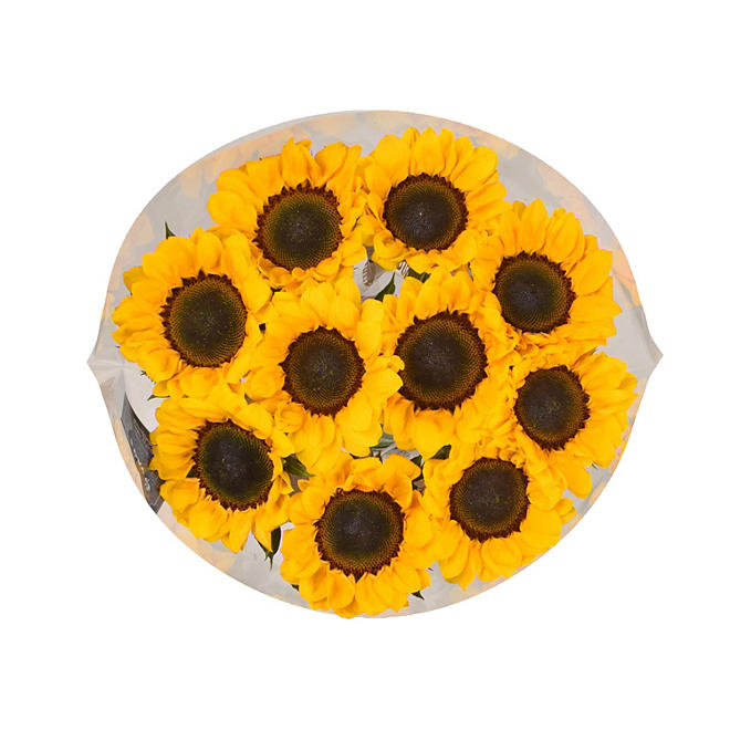 Member's Mark Sunflowers, Assorted 10 stems