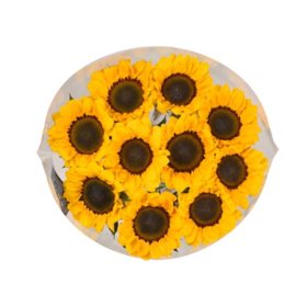 Member's Mark Sunflowers, Assorted 10 stems